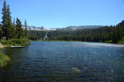 DSC_0053 (Large).JPG